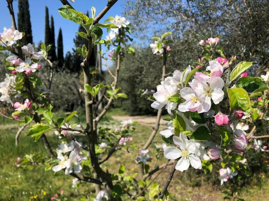 Bauernhof La Vigna Agriturismo