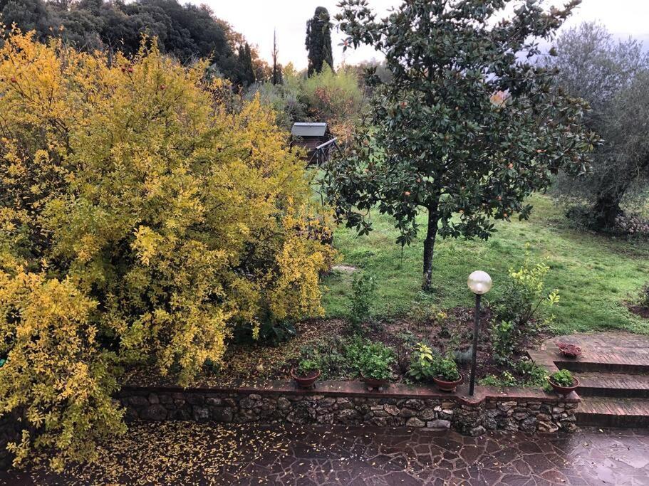 Bauernhof La Vigna Agriturismo