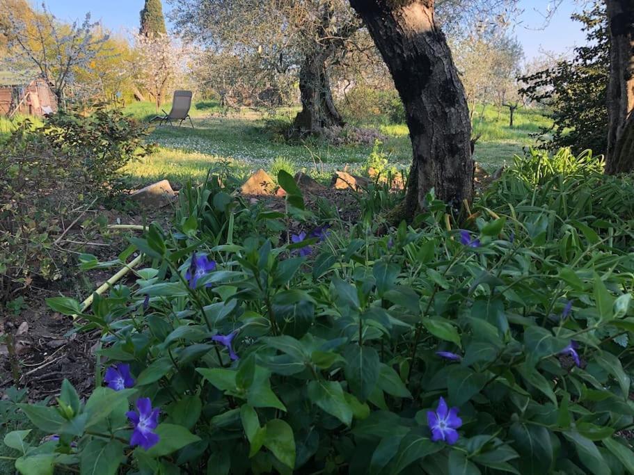 La Vigna Agriturismo * Siena
