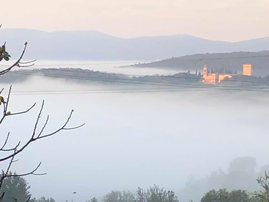 La Vigna Agriturismo * Siena