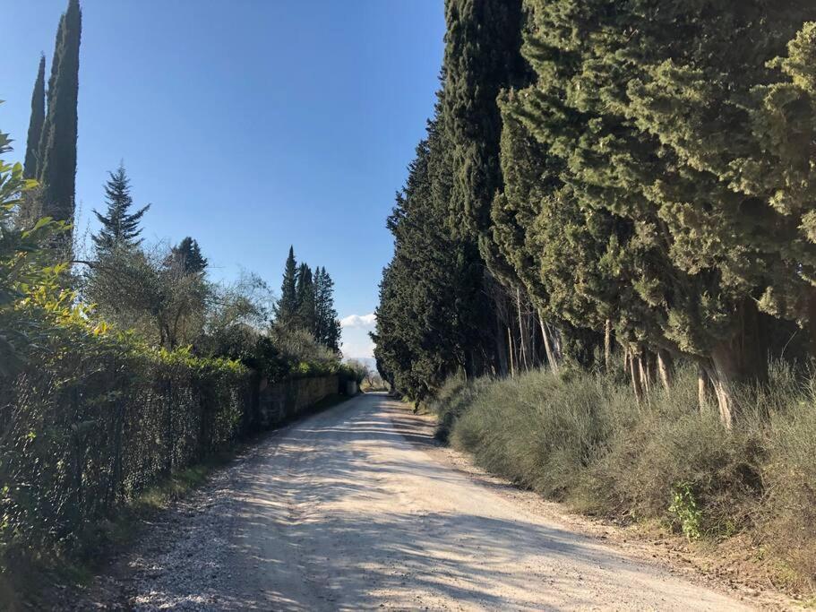 Bauernhof La Vigna Agriturismo *