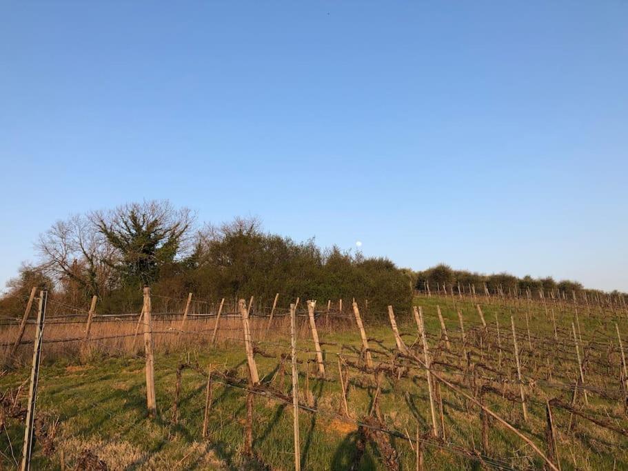 Bauernhof La Vigna Agriturismo *
