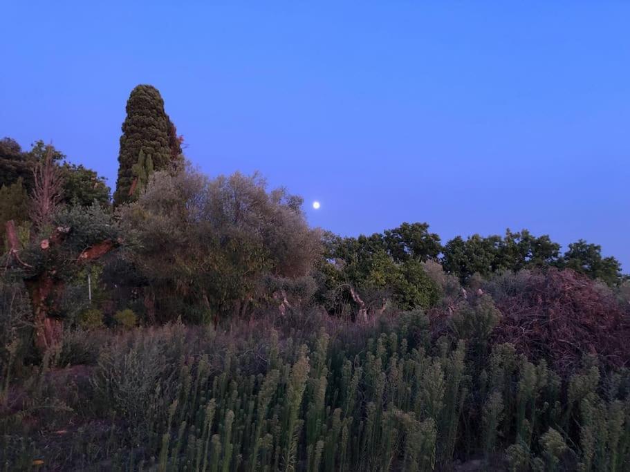 La Vigna Agriturismo * Siena
