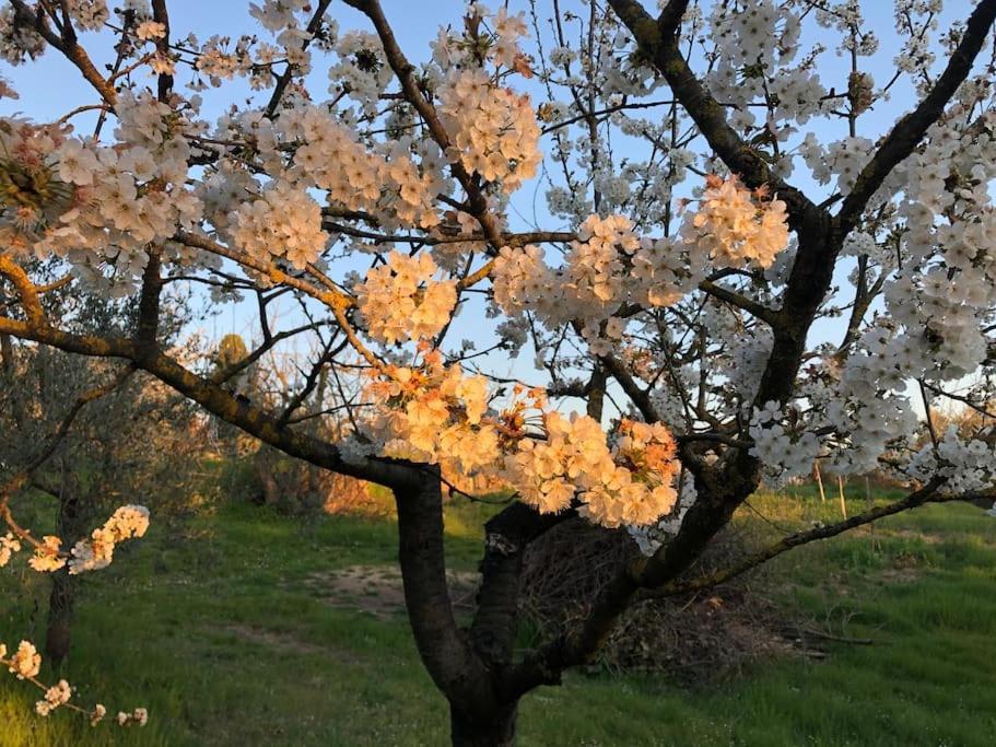 Bauernhof La Vigna Agriturismo