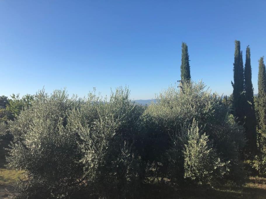 La Vigna Agriturismo Bauernhof *