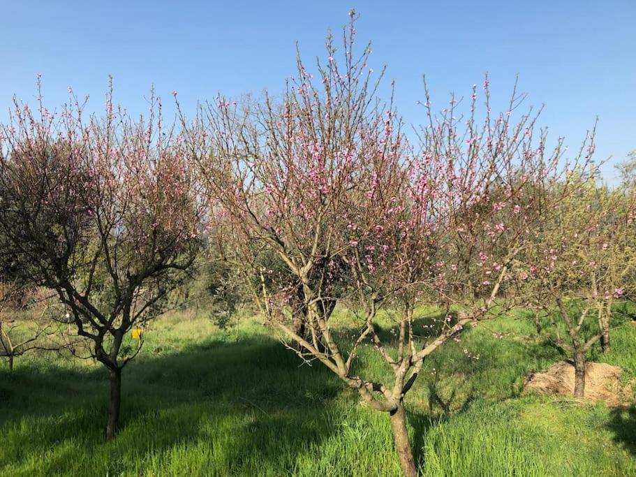 Bauernhof La Vigna Agriturismo Siena
