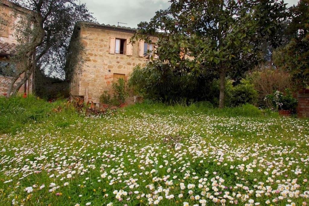 La Vigna Agriturismo